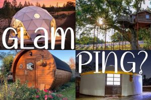 Realizzo un glamping resort: casa sull'albero, tende, yurta, botti di legno o bolle geodetiche?